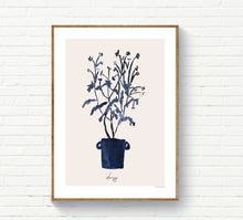 Blue Daisys in Pot