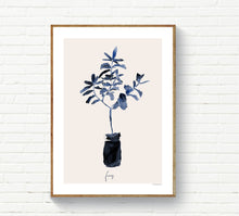 Blue Fig Tree in Pot