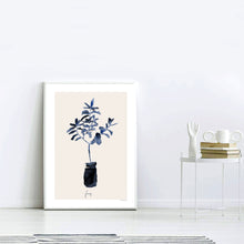 Blue Fig Tree in Pot