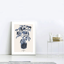 Blue Schefflera in Basket