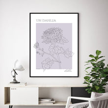 French Dahlia
