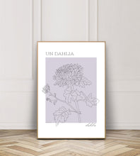 French Dahlia
