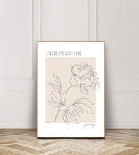 French Peony
