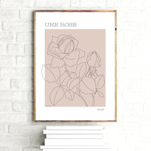 French Rose