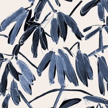 Blue Schefflera in Basket
