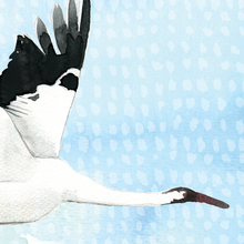 Crane Flying (right)