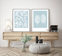 Blue Ferns