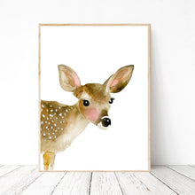Fawn
