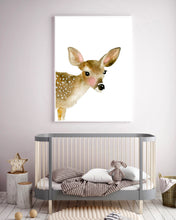 Fawn