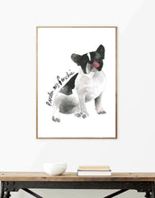 Pardon My Frenchie