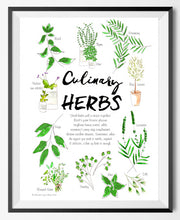 Culinary Herbs