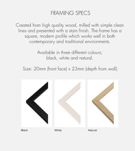 Gallery Wall Set Elegant