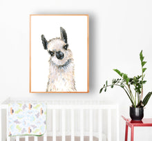 Lovely Llama