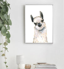 Lovely Llama