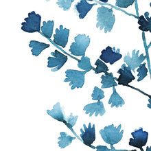 Maidenhair Fern (blue)