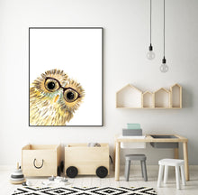 Baby Owl with Glasses