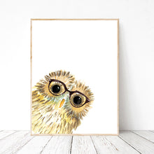 Baby Owl with Glasses