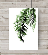 Palm Leaves Green