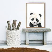 Panda Bear