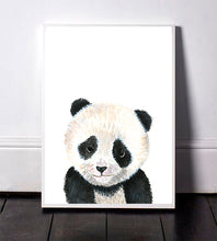 Panda Bear