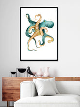 Octopus