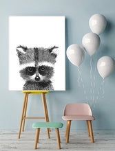 Baby Racoon
