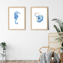 Seahorse