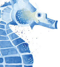 Seahorse