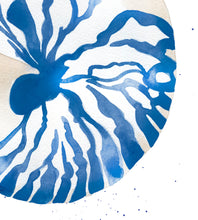 Nautilus Shell