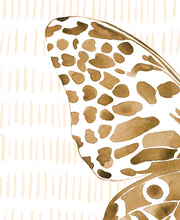 Sienna Butterfly Split - Set of Two