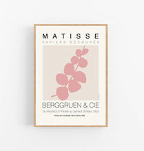 Wild Eucalyptus (pink & cream)