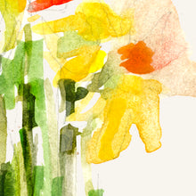 Daffodil