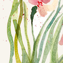 Iris Pink Attraction