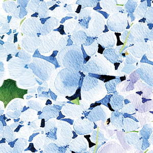 Blue Hydrangea in Basket