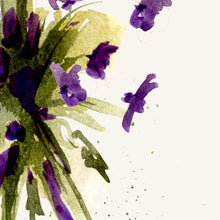 Violets