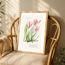 Iris Pink Attraction