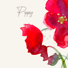 Poppy