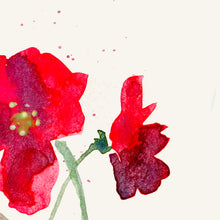 Poppy