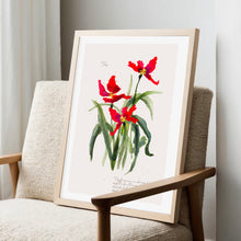 Tulip