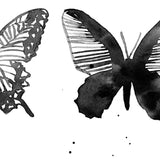 Half Butterfly (right)