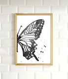 Half Butterfly (right)