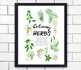 Culinary Herbs