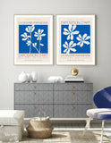 Summer Flowers (blue & cream)