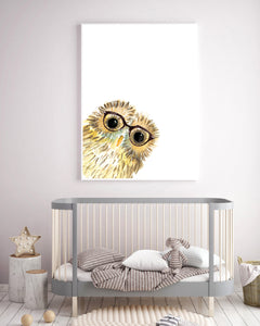 Baby Owl with Glasses