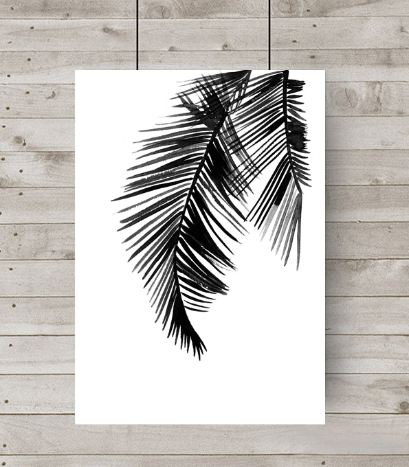 Palm Leaves Black