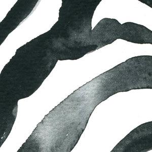 Zebra Texture Abstract